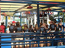 Members of the Lubbock Saddle Club enjoying Six Flags Over Texas wearing their custom Lucky Bucky shirts. October 2009